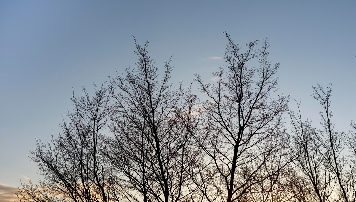 Скоро снег: народные приметы 2 ноября намекнули на смену погоды