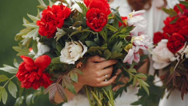 Названы самые стойкие цветы к 8 Марта — букет будет радовать дольше обычного