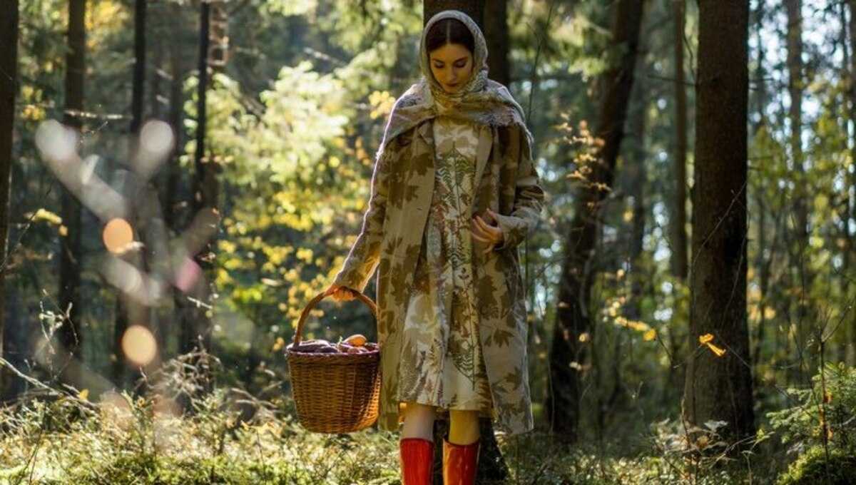 Грибов всё больше! В Подмосковье набирает обороты весенний сезон