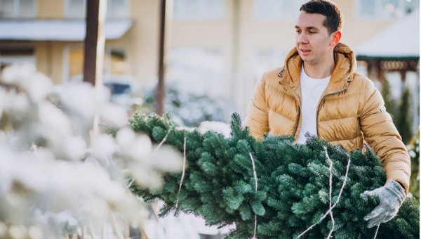 Не выбрасывайте ёлку: в Москве начался «Ёлочный круговорот»