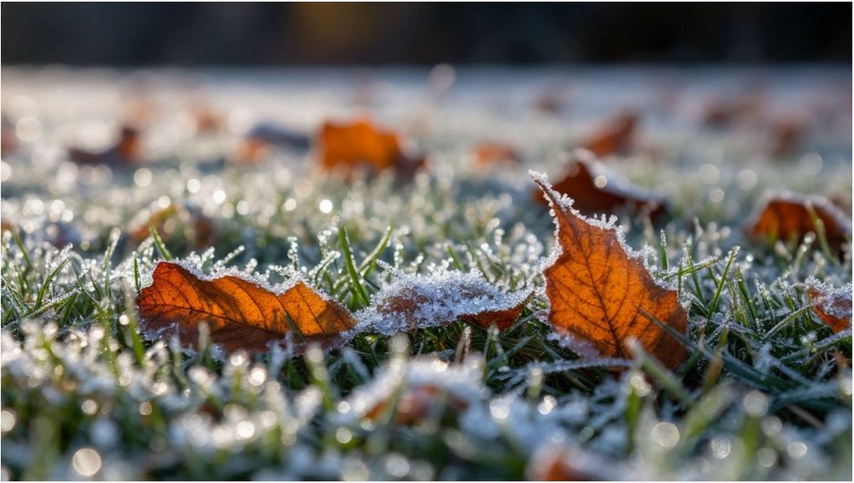 Нежданные морозы грянут со дня на день
