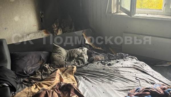 Женщину из Подмосковья, потерявшую двоих детей в пожаре, приговорили к сроку